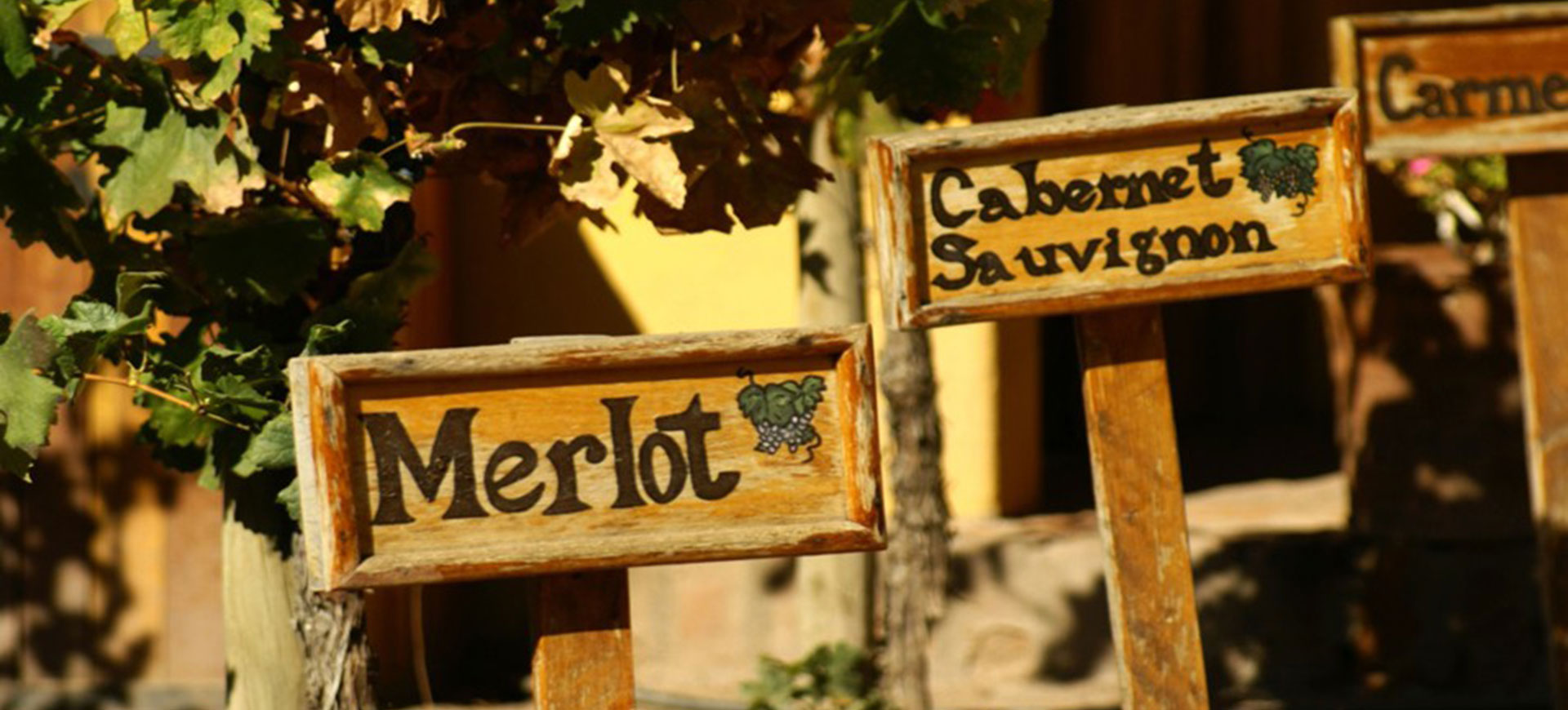 Sabores & gastronomía